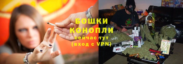 спайс Бородино