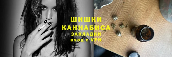 эйфоретик Богданович