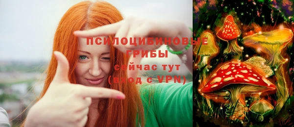 ПСИЛОЦИБИНОВЫЕ ГРИБЫ Кинешма