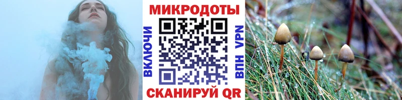 shop формула  цена наркотик  Верхняя Пышма  Псилоцибиновые грибы ЛСД 