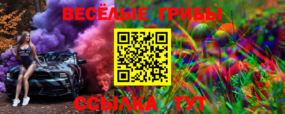 Галлюциногенные грибы MAGIC MUSHROOMS  Галлюциногенные грибы MAGIC MUSHROOMS  Верхняя Пышма  Вход с VPN 
