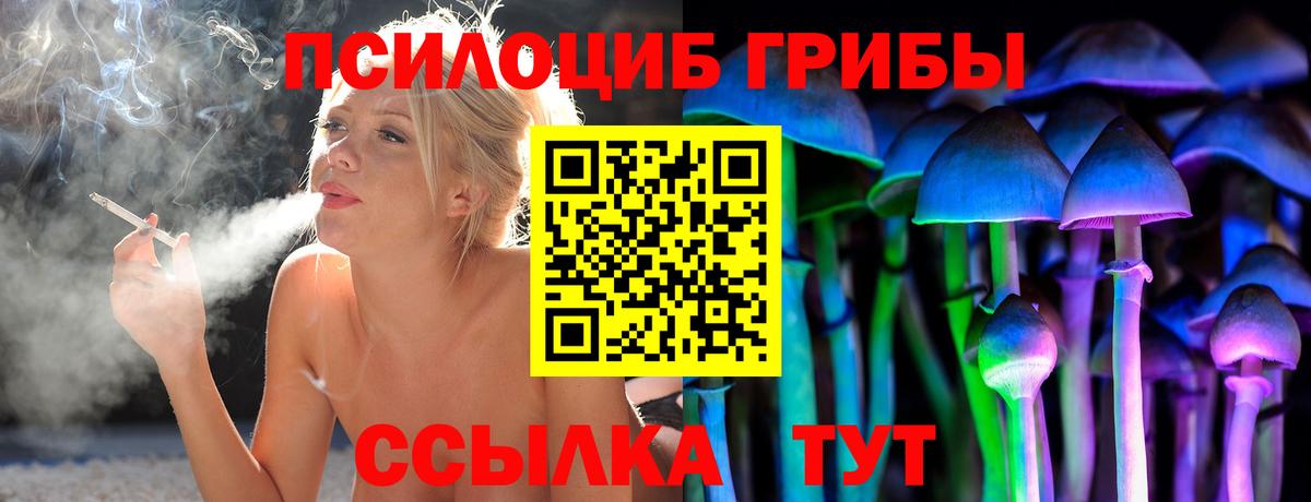 Псилоцибиновые грибы Psilocybine cubensis Верхняя Пышма